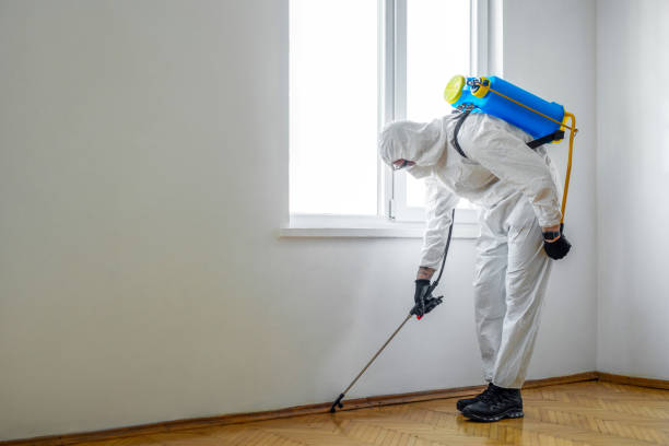 Professional Pest Control in Eagle Pass, TX